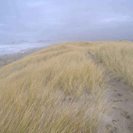 Bob Straub State Park