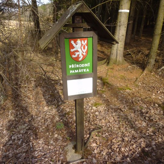 Natural monument Louky u Černého lesa