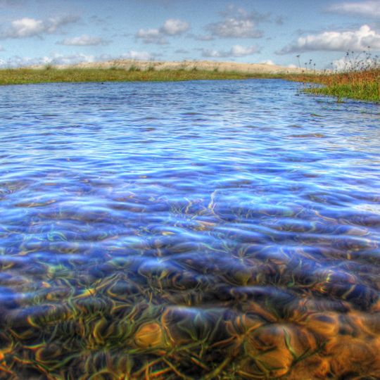 Parrachos de Maracajaú