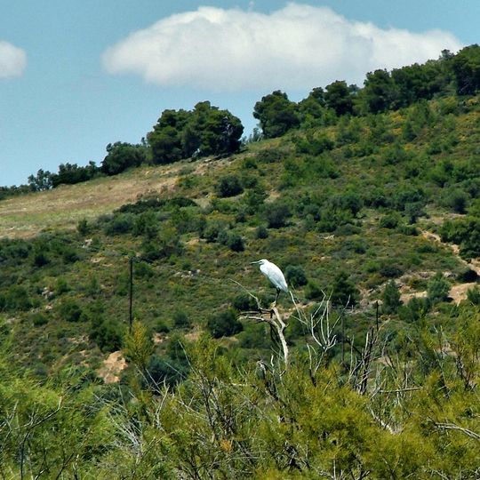 Vravrona - Paraktia Thalassia Zoni