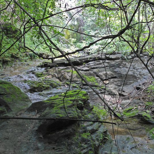 Phu Muang Forest Park