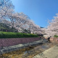滝頭公園