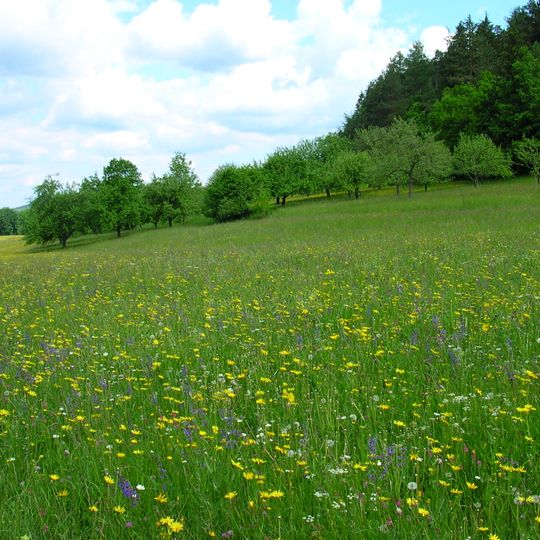 Bühler Tal und Unterer Bürg