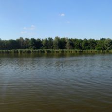 Františkův rybník (nature reserve)