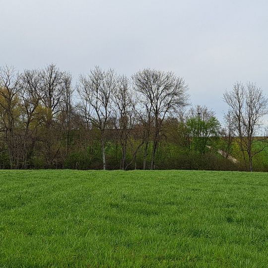 Feldgehölz mit Tümpel "Holzheim"