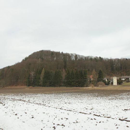 Burgstall Leuenstein