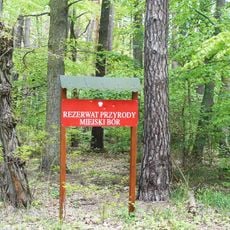 Rezerwat przyrody Miejski Bór