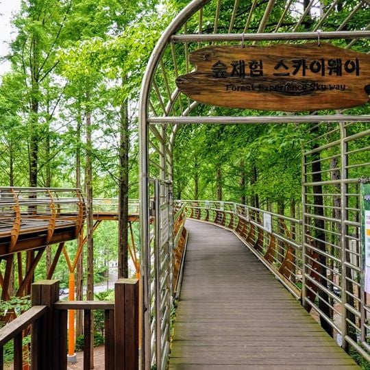 장태산 자연휴양림