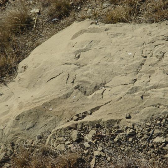 Paskapoo Formation