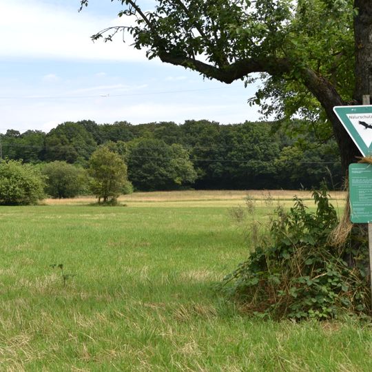 Herrnröther- und Bornwaldswiesen von Sprendlingen