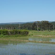 Kisakata