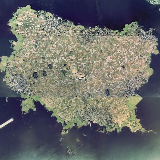 Daikon Island