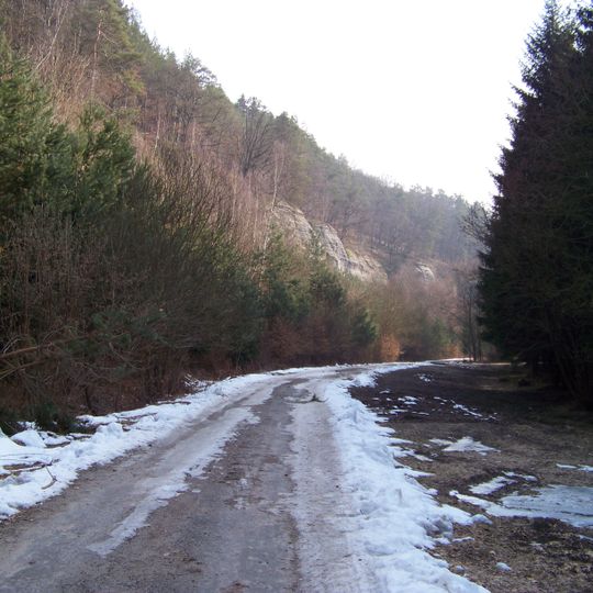 Stráně Truskavenského dolu