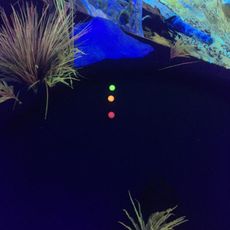 Adventure-Minigolf