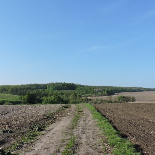 Cherniavskyi Nature Reserve