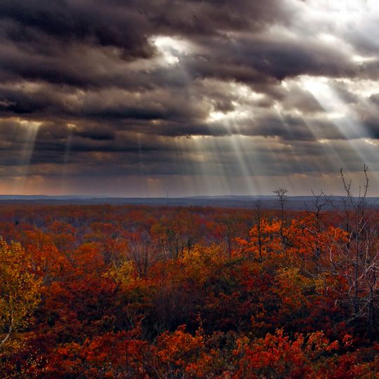 Lackawanna State Forest