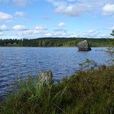Rock art at Åbodsjön