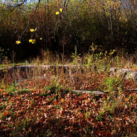 Главный дом