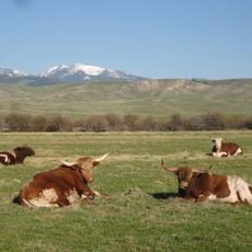 Grant-Kohrs Ranch National Historic Site