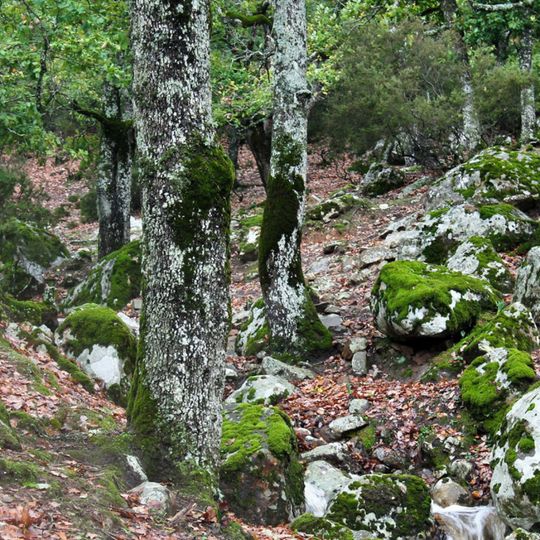 Parco nazionale di El Feija