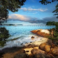 Chek Jawa
