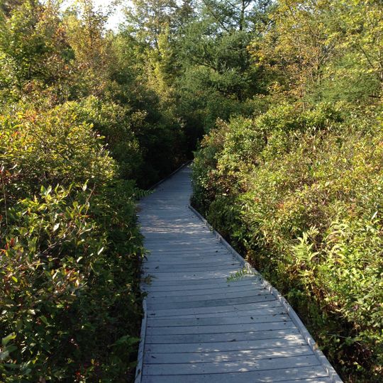 Tom S. Cooperrider-Kent Bog State Nature Preserve
