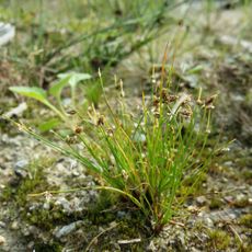 Kirchenwaldsteinbruch