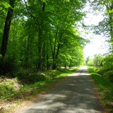 Forêt domaniale de Bellême