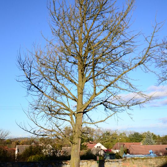 Jinan u Strážovického zámku