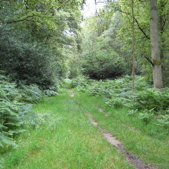Naphill Common