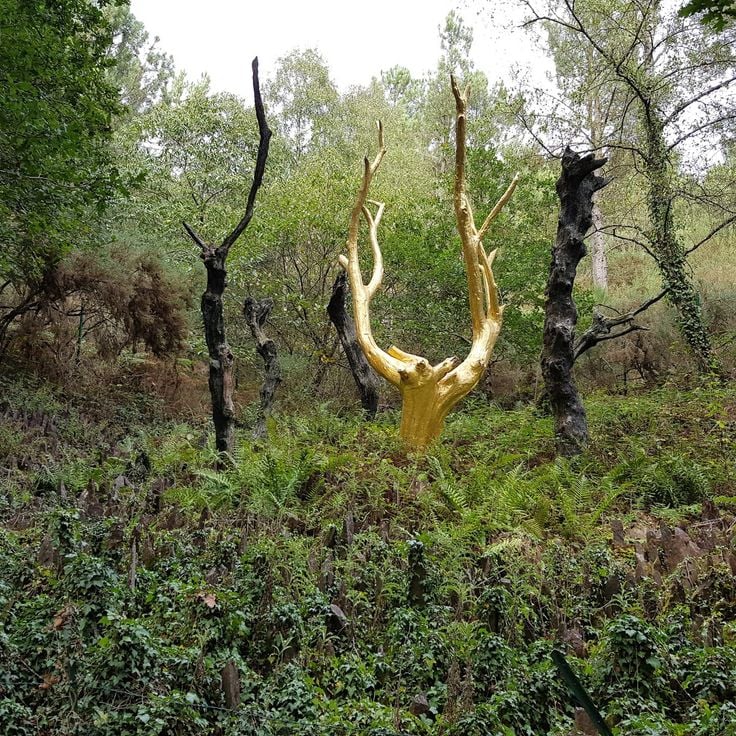 Forêt de Brocéliande