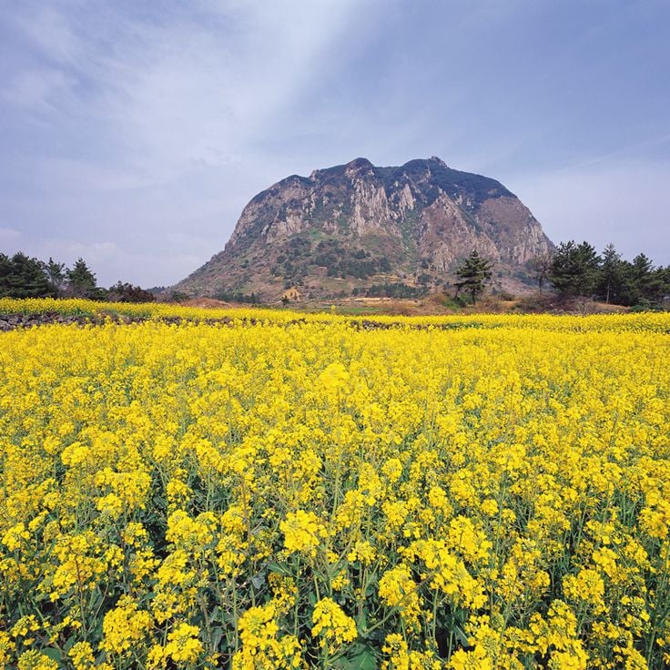 Sanbangsan Mountain