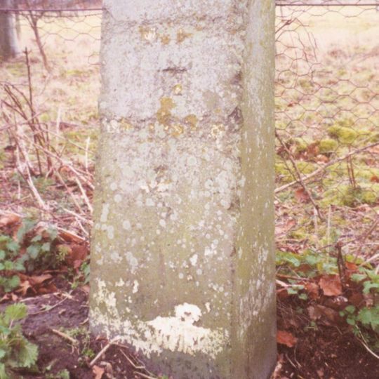 Milestone, Portway; E of Lain's Barn turn