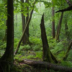 Landschaftsschutzgebiet des Landkreises Lüneburg