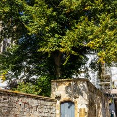 Ely Cathedral: claustral buildings