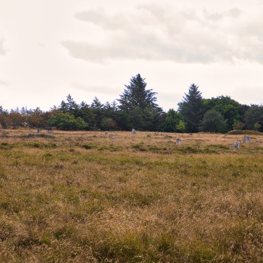 Gräberfeld von Højstrup-Mark