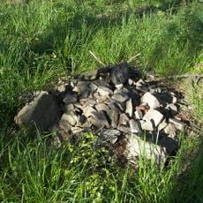 Palenica (Beskid Śląski)