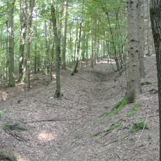 Grabhügelgruppe im Blumental