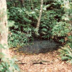 Spicers Gap State Forest