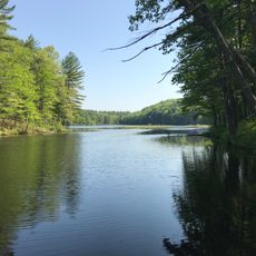 Heald Pond
