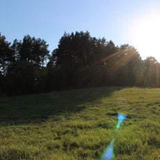 Dauliūnų piliakalnis