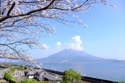 The view 1