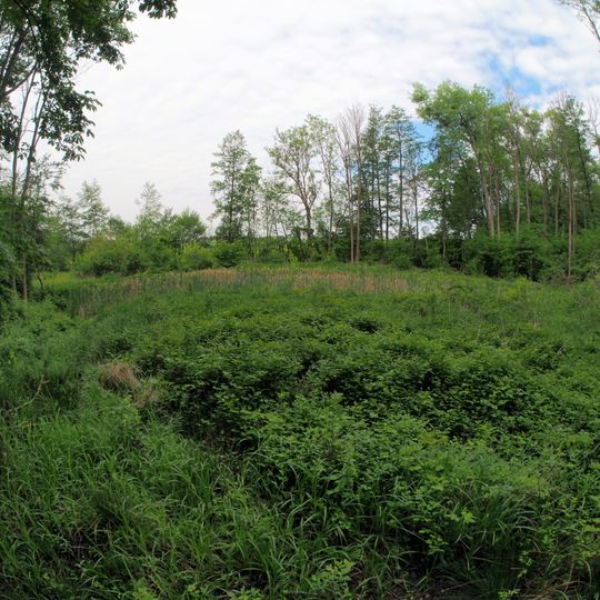 Feuchtwiese am Krähenbach