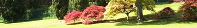 Panoramic View 2