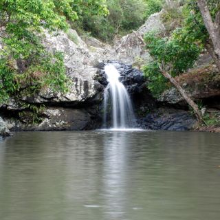 Kondalilla National Park