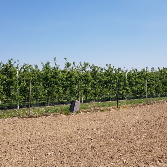 Belgium-Netherlands boundary stone no. 27a