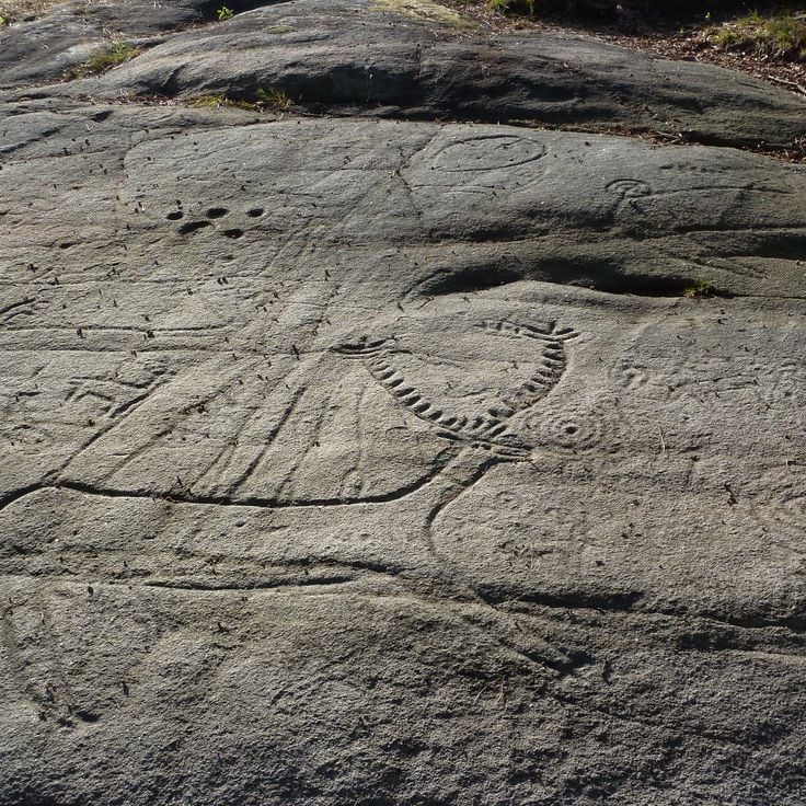 Petroglifos de Campo Lameiro