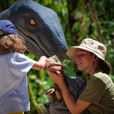 Dinosaur Land