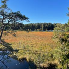 Pilthyttedammen Nature Reserve