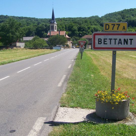 Bettant